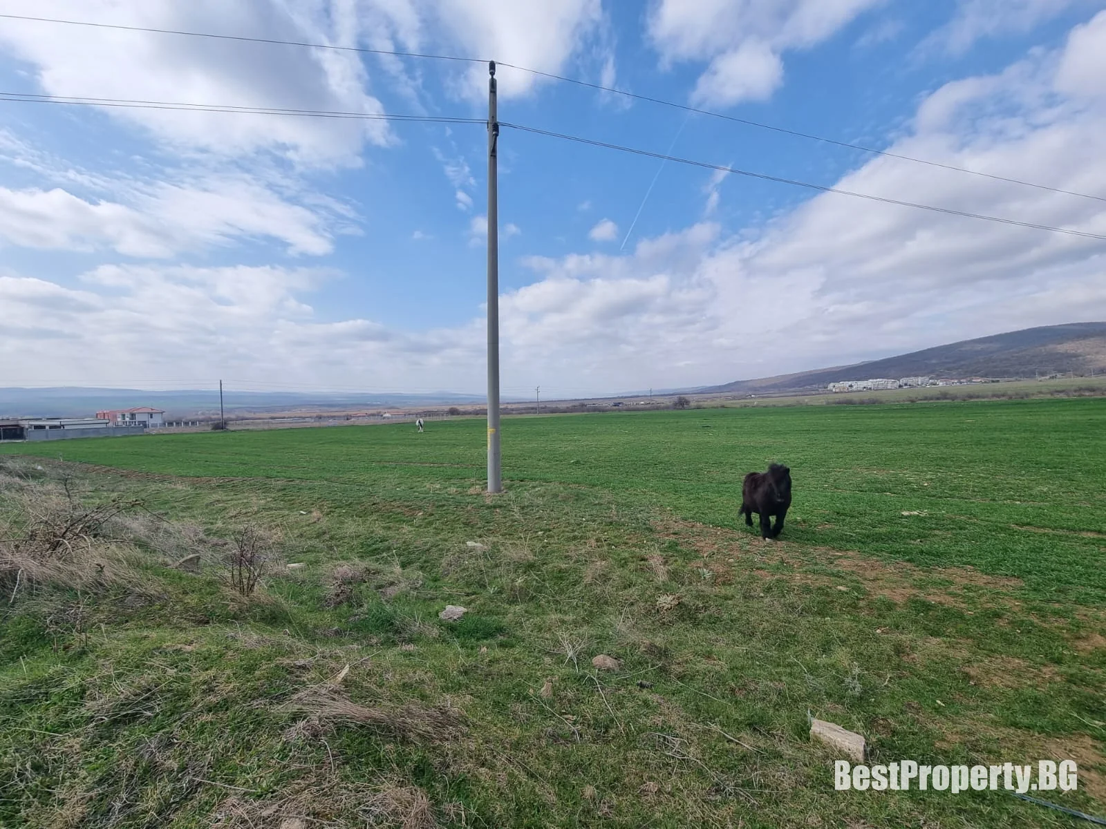 Plot for sale in Kosharitsa – Kosharitsa