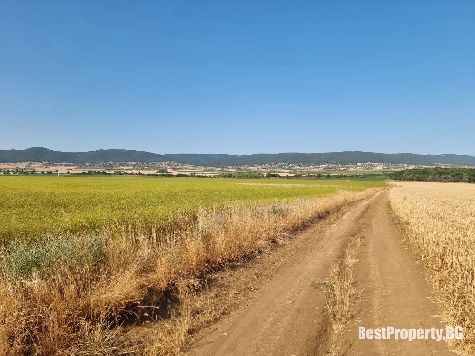 Plot for sale in Tankovo – Tankovo
