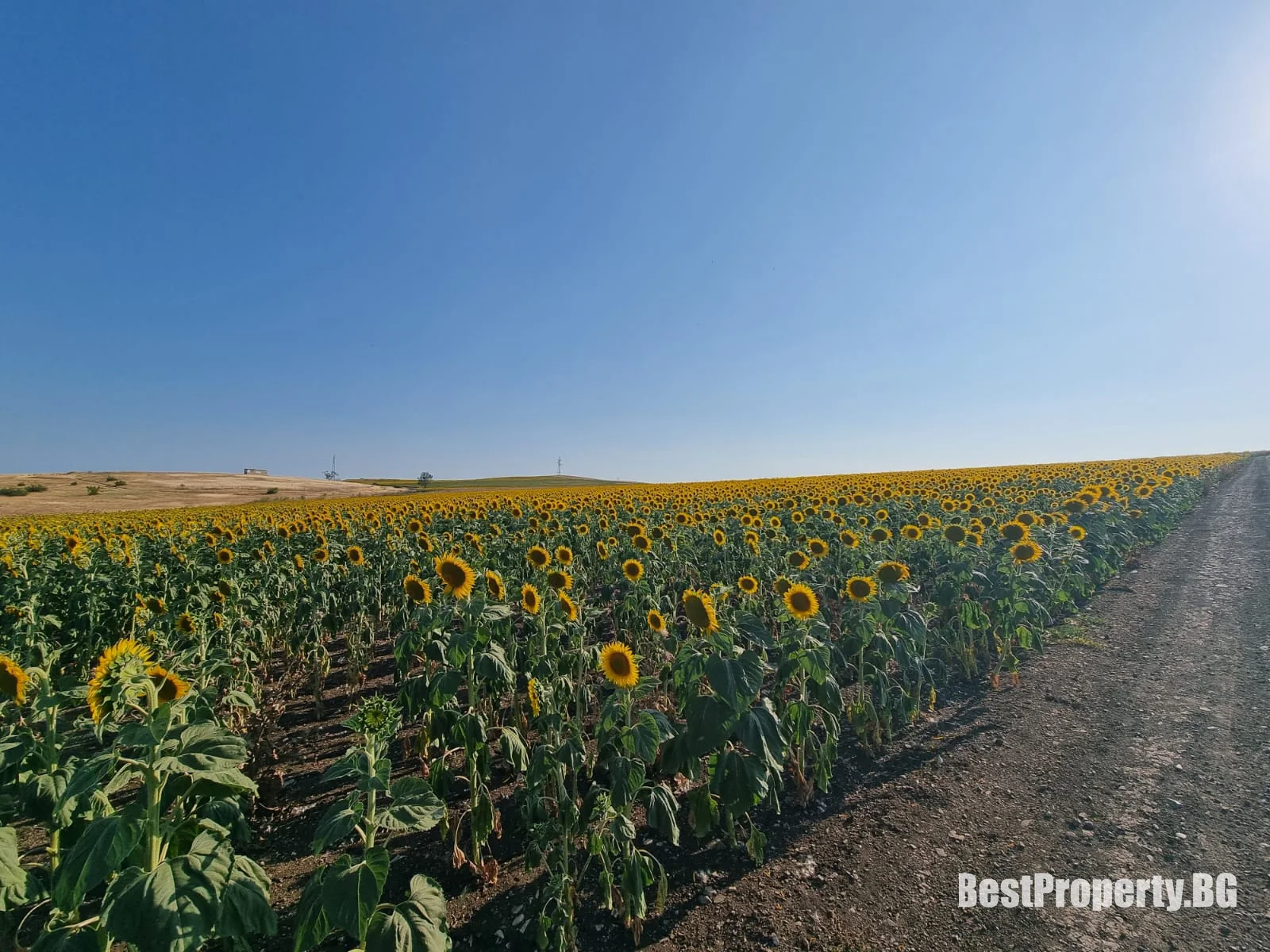 Plot for sale in Tankovo – Tankovo