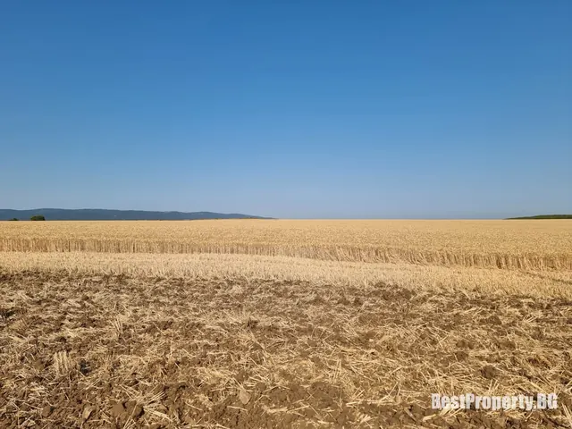 Plot for sale in Tankovo